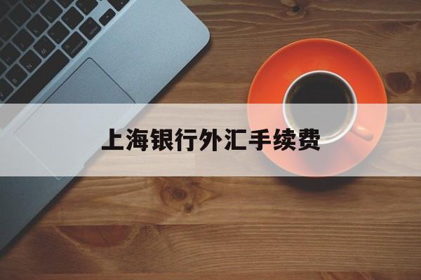 上海银行外汇手续费(上海银行外汇手续费收取标准)