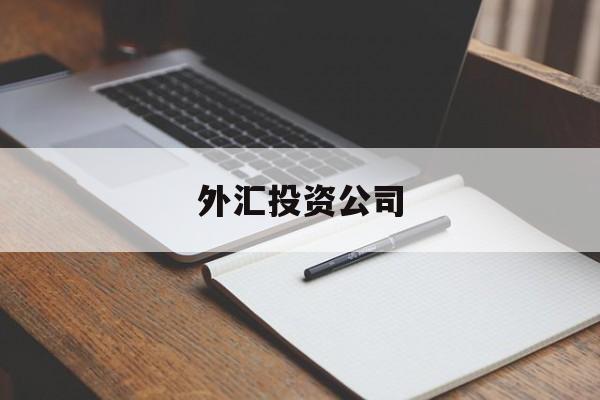 外汇投资公司(外汇投资公司放款最快需要多长时间)